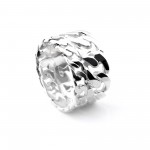 LE DECHAINEMENT-HO ring