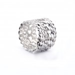 LE DECHAINEMENT ring